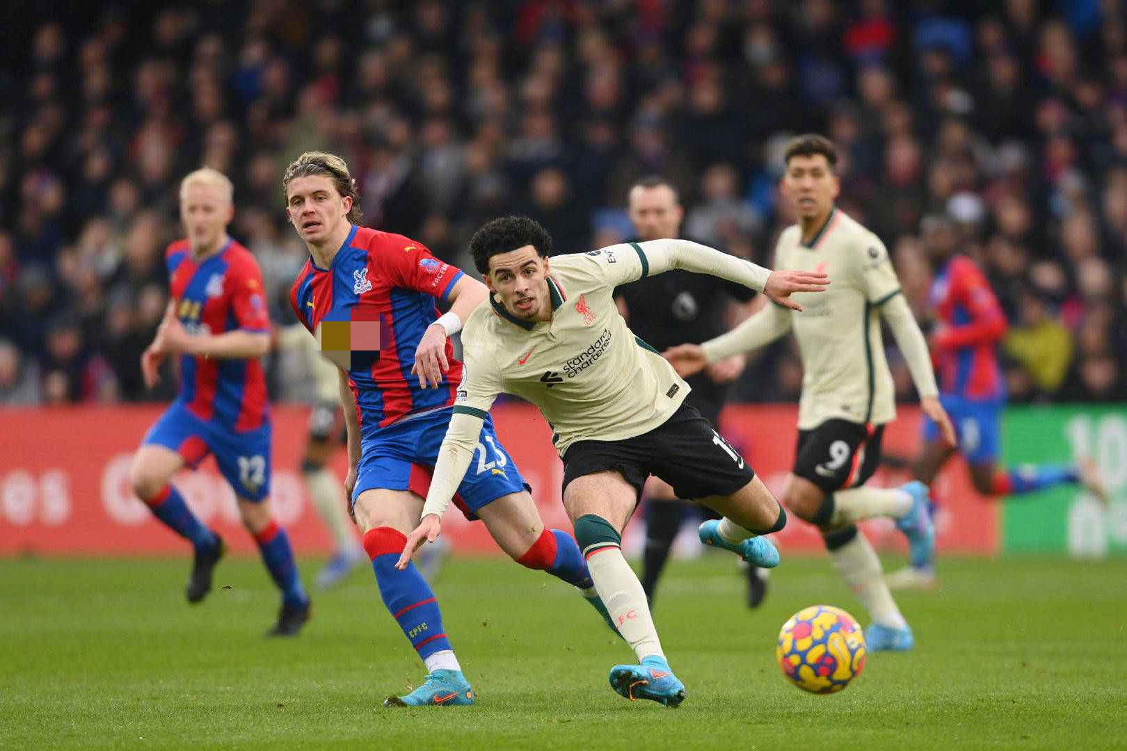 在某些比赛 在某些比赛